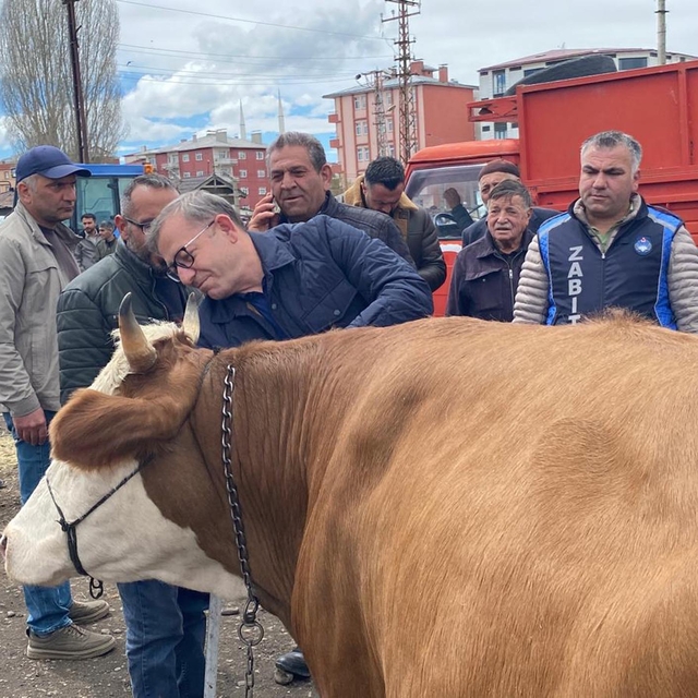 Vali Polat, kurban pazarlığında ara buluculuk yaptı