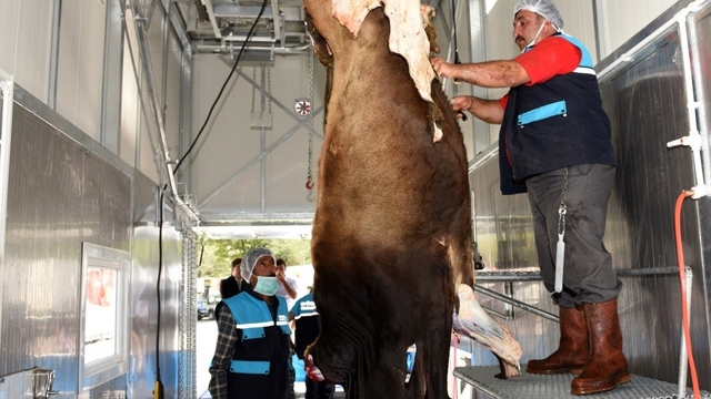 Kurban kesim kurallarına uymayanlara ceza yağacak