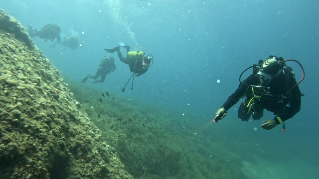 Saros Körfezi'nde su altı sezonu başladı; 17  dalış noktası var