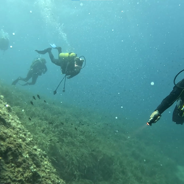 Saros Körfezi'nde su altı sezonu başladı; 17  dalış noktası var
