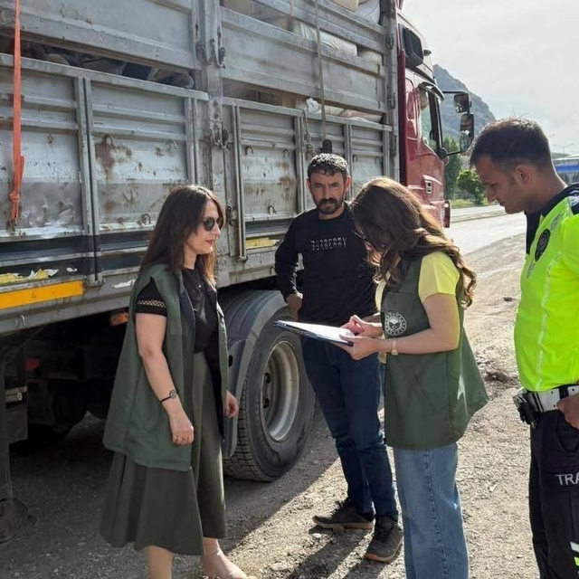 Tercan'da kurbanlık hayvan sevkiyatlarına sıkı denetim