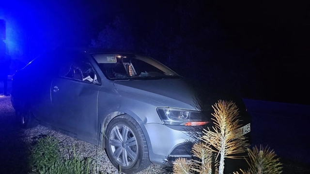 Seyir halindeki otomobile geyik çarptı: 2 yaralı