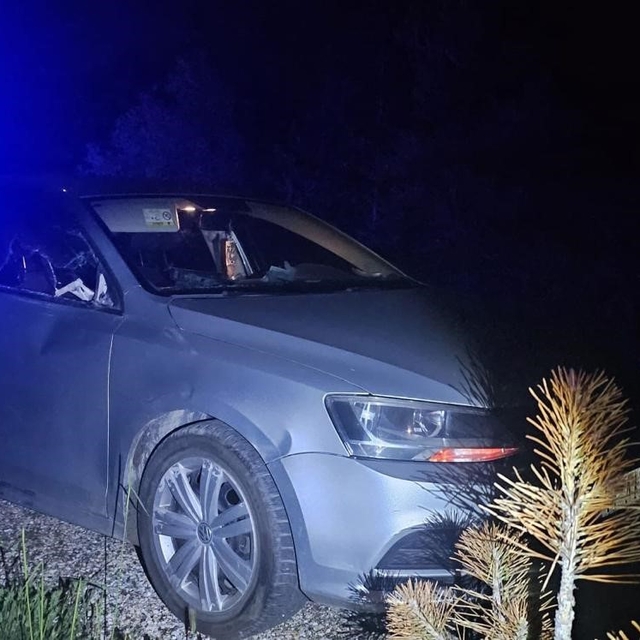 Seyir halindeki otomobile geyik çarptı: 2 yaralı