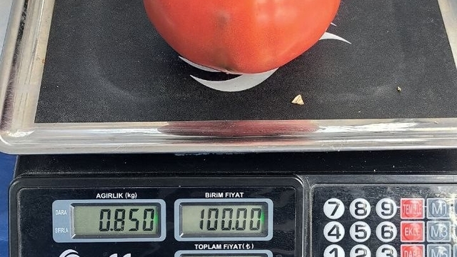 Aydın'da 850 gramlık domates pazarda ilgi gördü