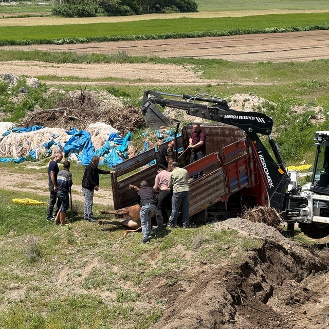 Kesime bir gün kala ortalığı birbirine kattı, 4 saat sonra yakalandı