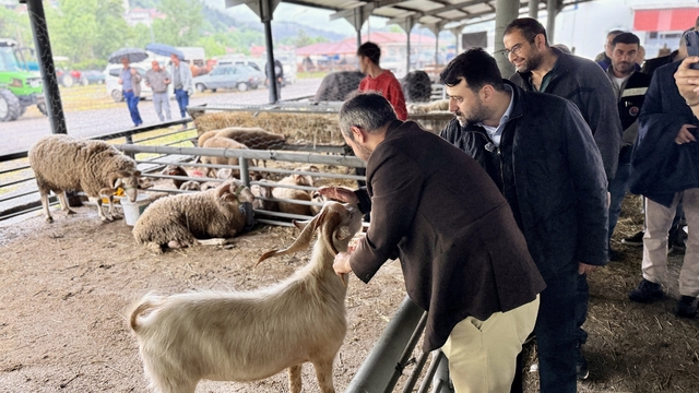 Şahin ve Çetinkaya'dan Kurban satış alanına ziyaret