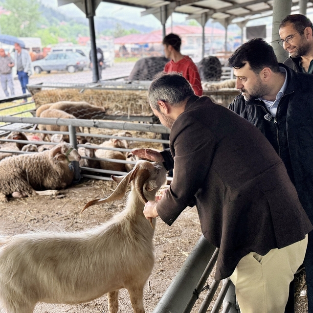 Şahin ve Çetinkaya'dan Kurban satış alanına ziyaret
