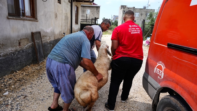 Tarsus Belediyesinden şehit ailelerine bayram desteği
