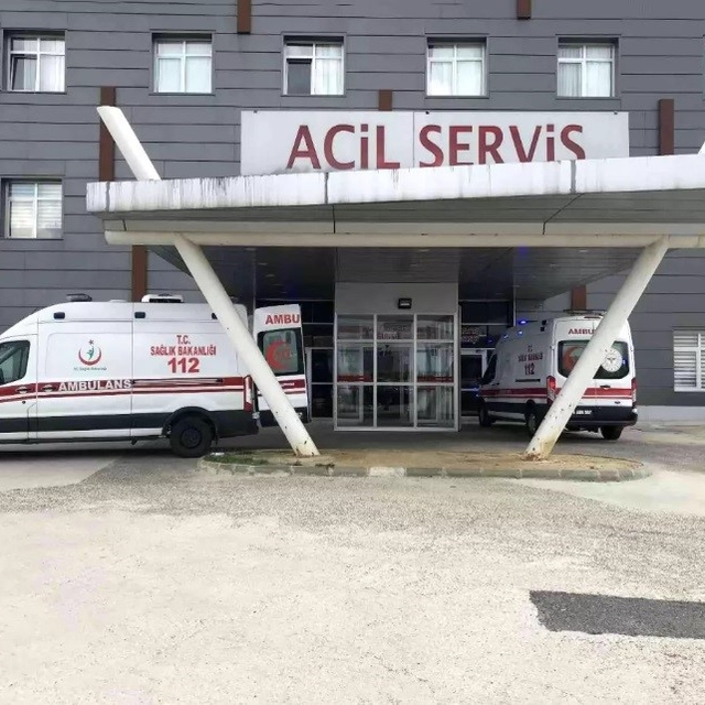 Arı saldırısına uğrayan yaşlı çift hastanelik oldu