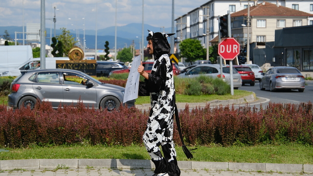Galeri