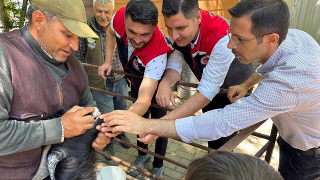 Kurban Bayramı öncesi Bozdoğan hayvan pazarında sıkı denetim
Kaymakam Polat sahada denetimlere katıldı