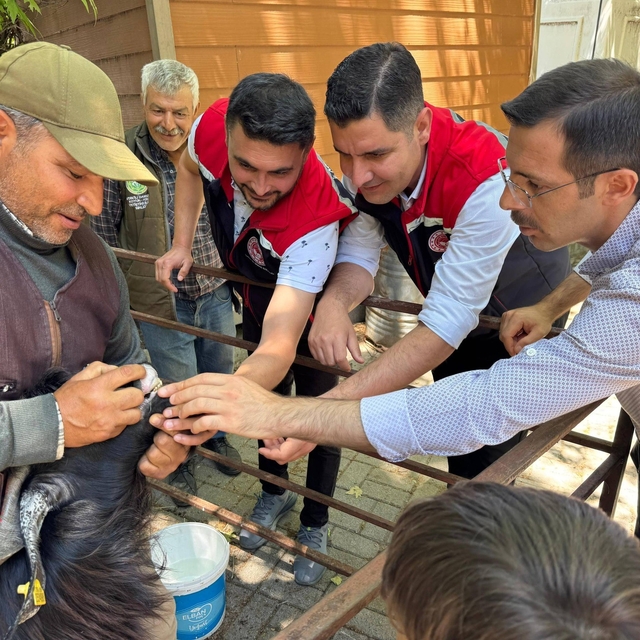 Kurban Bayramı öncesi Bozdoğan hayvan pazarında sıkı denetim
Kaymakam Polat...