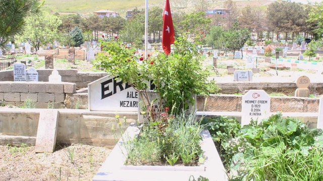 Galeri