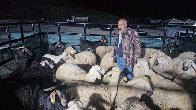 Elazığ'da kurban pazarında uykusuz mesai: Geceyi hayvanlarının başında geçiriyorlar