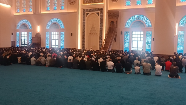 Galeri