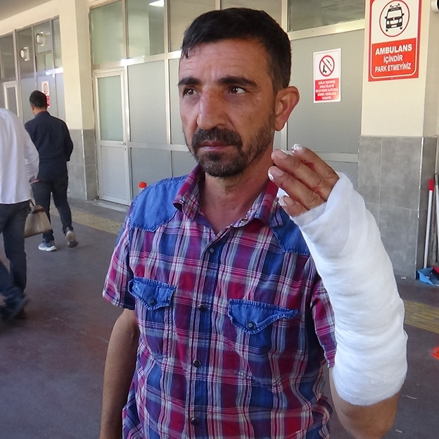 Şanlıurfa'da bayramın ilk gününde 232 acemi kasap hastanelik oldu