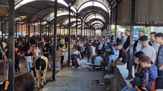 Şanlıurfa'da kurban kesim alanlarında hareketlilik