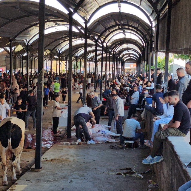 Şanlıurfa'da kurban kesim alanlarında hareketlilik