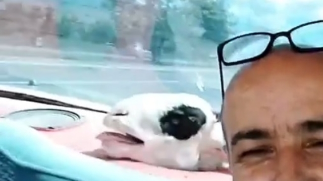 Kurbanlık koyunuyla yolculuğu dikkat çekti