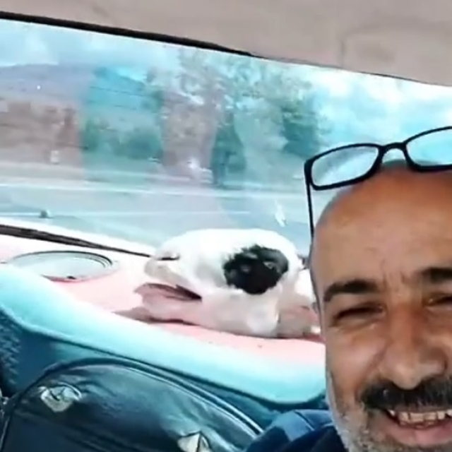 Kurbanlık koyunuyla yolculuğu dikkat çekti