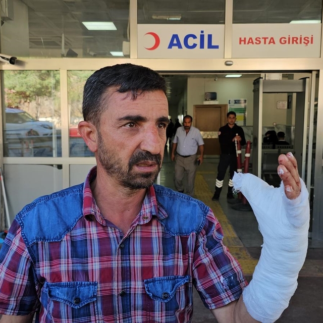 Şanlıurfa'da kurban kesimi sırasında 232 kişi yaralandı