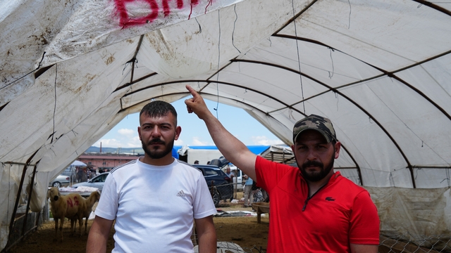 Kurbanlıklar alıcı buldu, yetiştirici bayrama mutlu girdi: "Dedikleri fiyata verdik, milleti kurbansız göndermedik"
