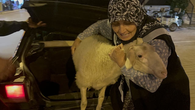 Kaçan kuzuya benzetilen 'Çorap', kurbanlık olmaktan son anda kurtuldu