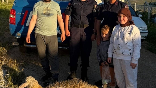 Kırşehir'de kaçan kurbanlık koyunu jandarma yakaladı