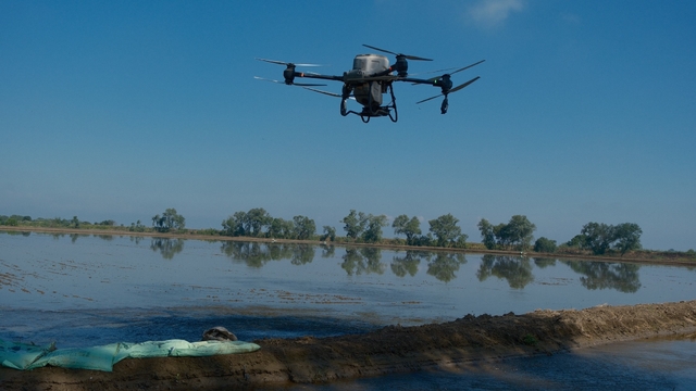 Dron ile çeltik ekimi
Karacabey'de çeltik üreticisi teknolojiye yöneldi drone ile ekim yaptı