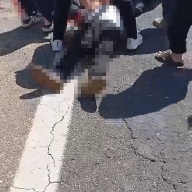 Şanlıurfa'da kurbanlık yüklü kamyonet devrildi: 1 ölü, 1 yaralı