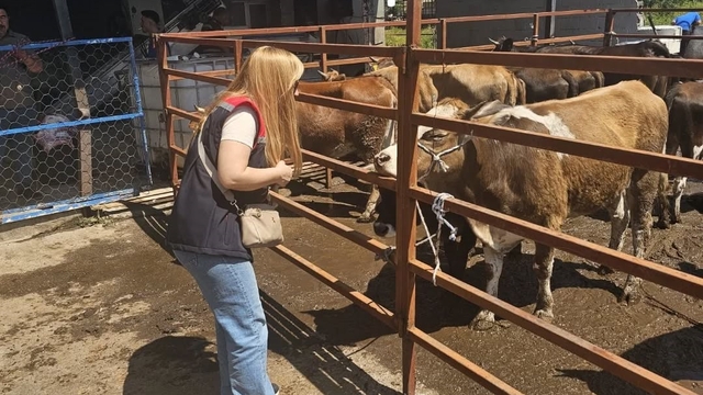 Aydın'da Kurban Bayramı denetimleri aralıksız sürüyor