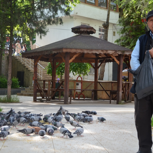 Bu bayramda eşini dostunu bıraktı, beslediği kuşlara koştu
Kuşları besleyen...