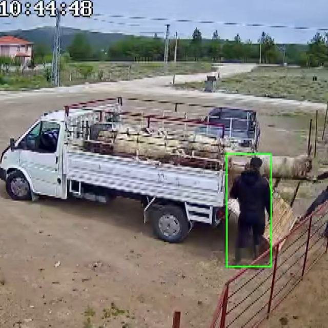 Koçun saldırısına uğrayan besici kamyonetten düştü