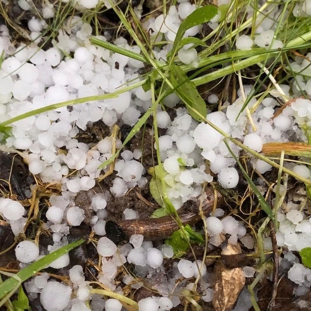 Mersin'de dolu yağışı etkili oldu