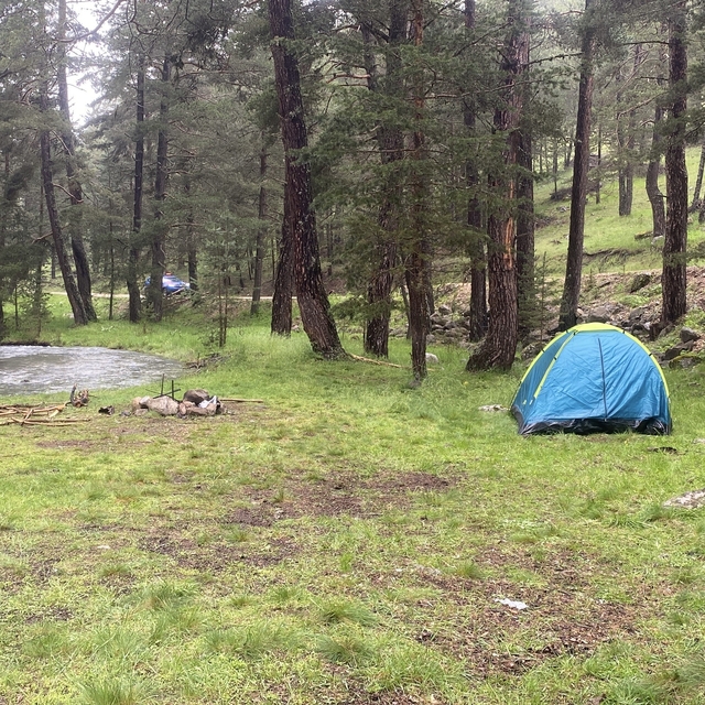Piknik yaptıkları alana yıldırım düştü: 1'i ağır 3 yaralı