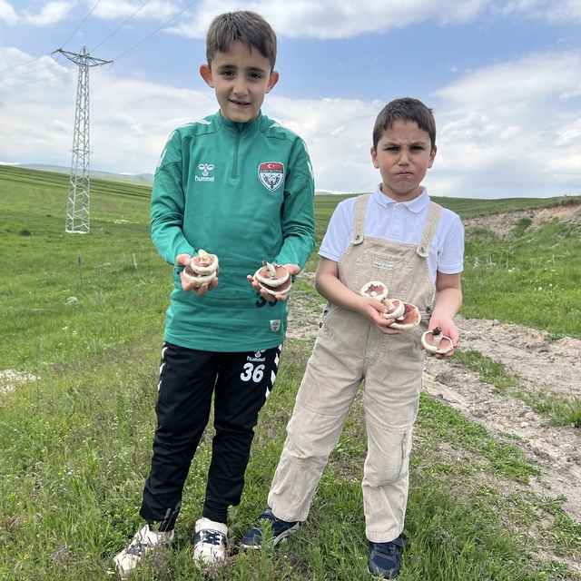 Kars'ta mantar bereketi: Çocuklar doğada hem eğlendi hem topladı