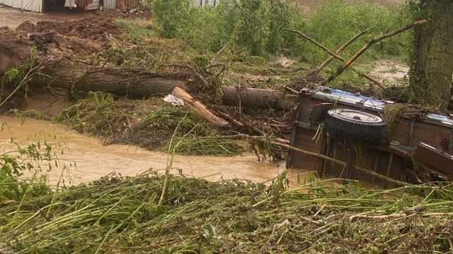 Tekirdağ'da sağanak sonrası 5 ila 6 bin dekarlık alanda hasar oluştu