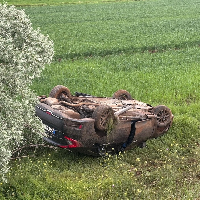 Erzincan'da şarampole devrilen otomobildeki 4 kişi yaralandı