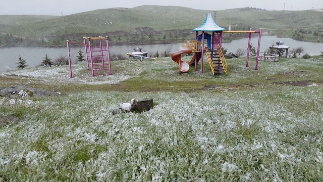 Tokat'ın Başçiftlik ilçesinde kar yağışı etkili oldu
