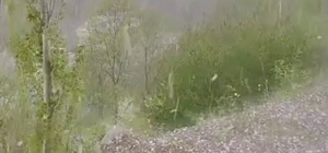 Erzurum'da ceviz büyüklüğünde dolu yağdı
Tarım arazileri ve araçlar zarar g...