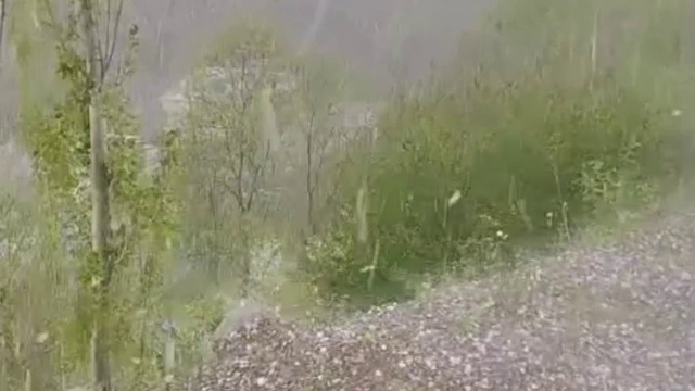 Erzurum'da ceviz büyüklüğünde dolu yağdı
Tarım arazileri ve araçlar zarar gördü