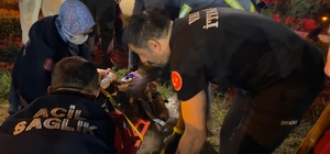 Van'da trafik kazası: 8 yaralı