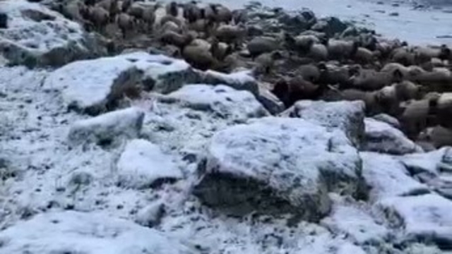 Mayıs sonunda Kars'a kış geri döndü, eksi 5 derecede kar sürprizi
