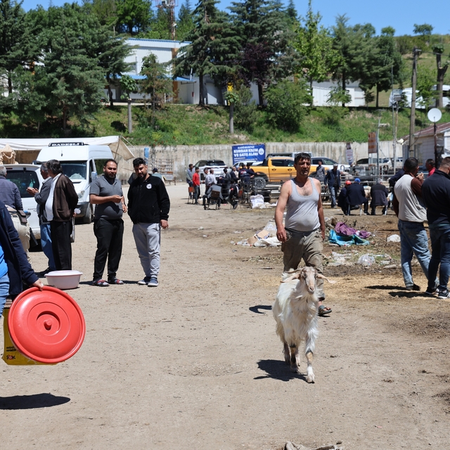 Elazığ hayvan pazarında hareketlilik sürüyor