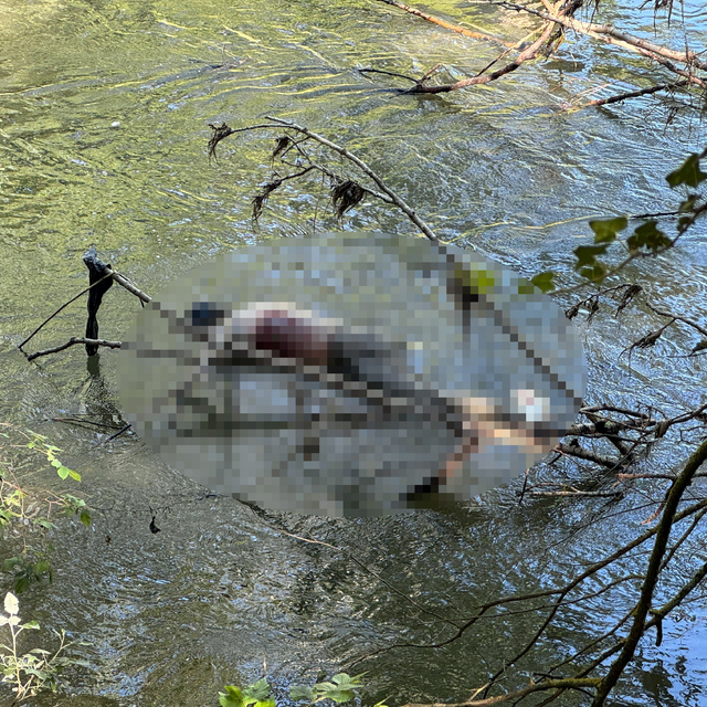 Tunca Nehri'nde erkek cesedi bulundu