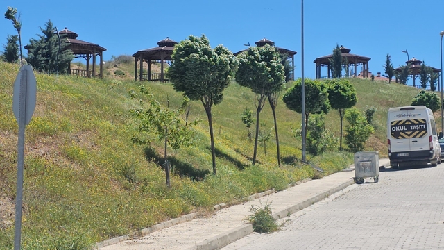 Elazığ'da şiddetli rüzgar etkili oldu