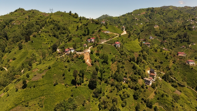 Galeri