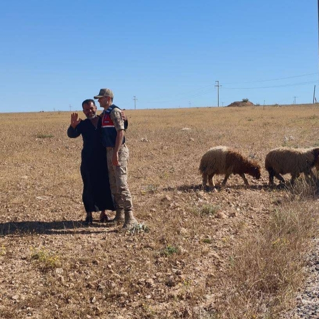 Kaybolan küçükbaş hayvanları jandarma buldu