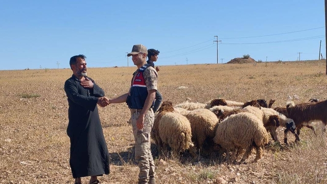 Şanlıurfa'da kaybolan küçükbaş hayvanlar dronla bulundu