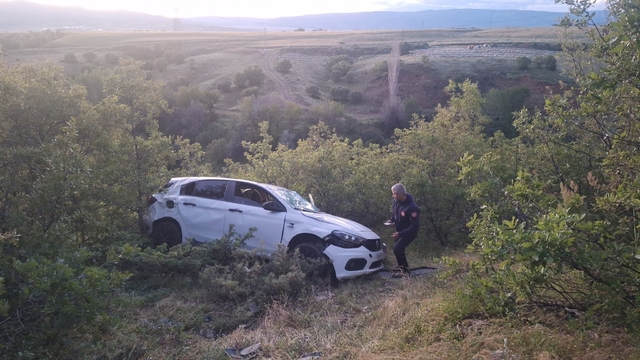 Bingöl'de otomobil şarampole yuvarlandı